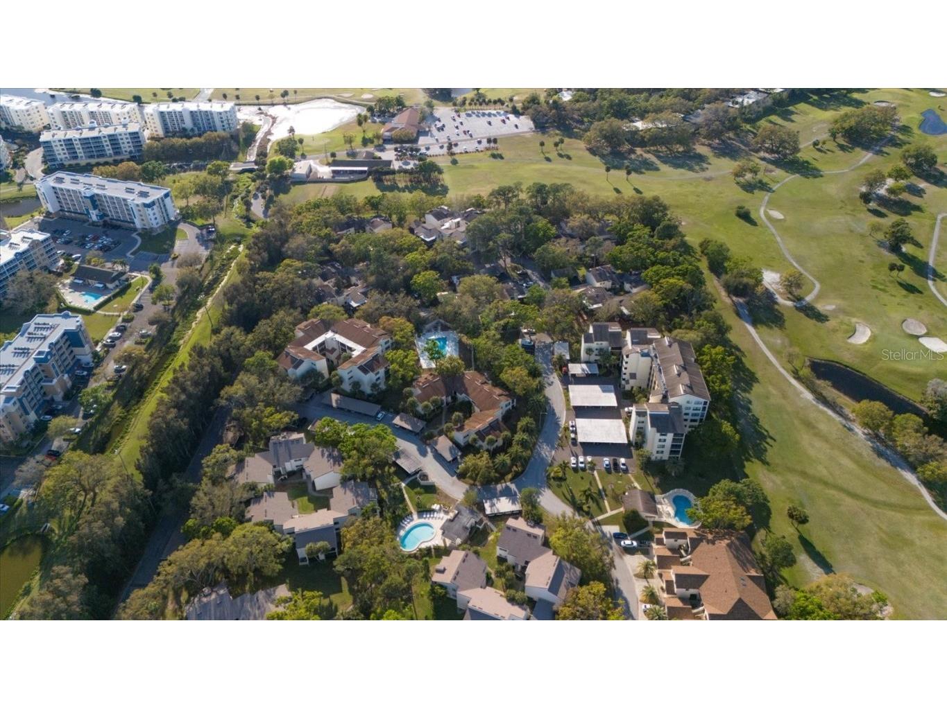 700 Starkey Road #1111 Largo FL 33771 TB8357036 image38