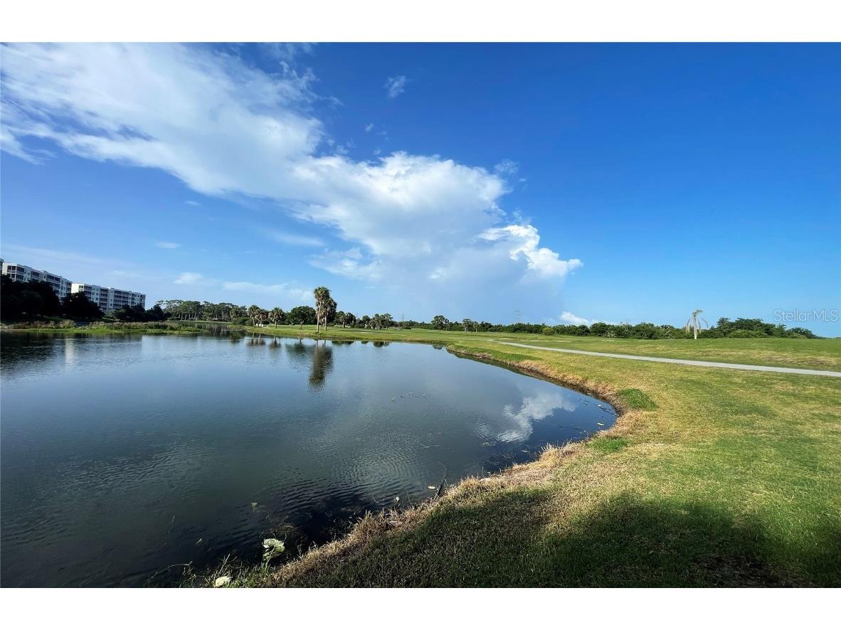 700 Starkey Road #1145 Largo FL 33771 TB8401967 image49