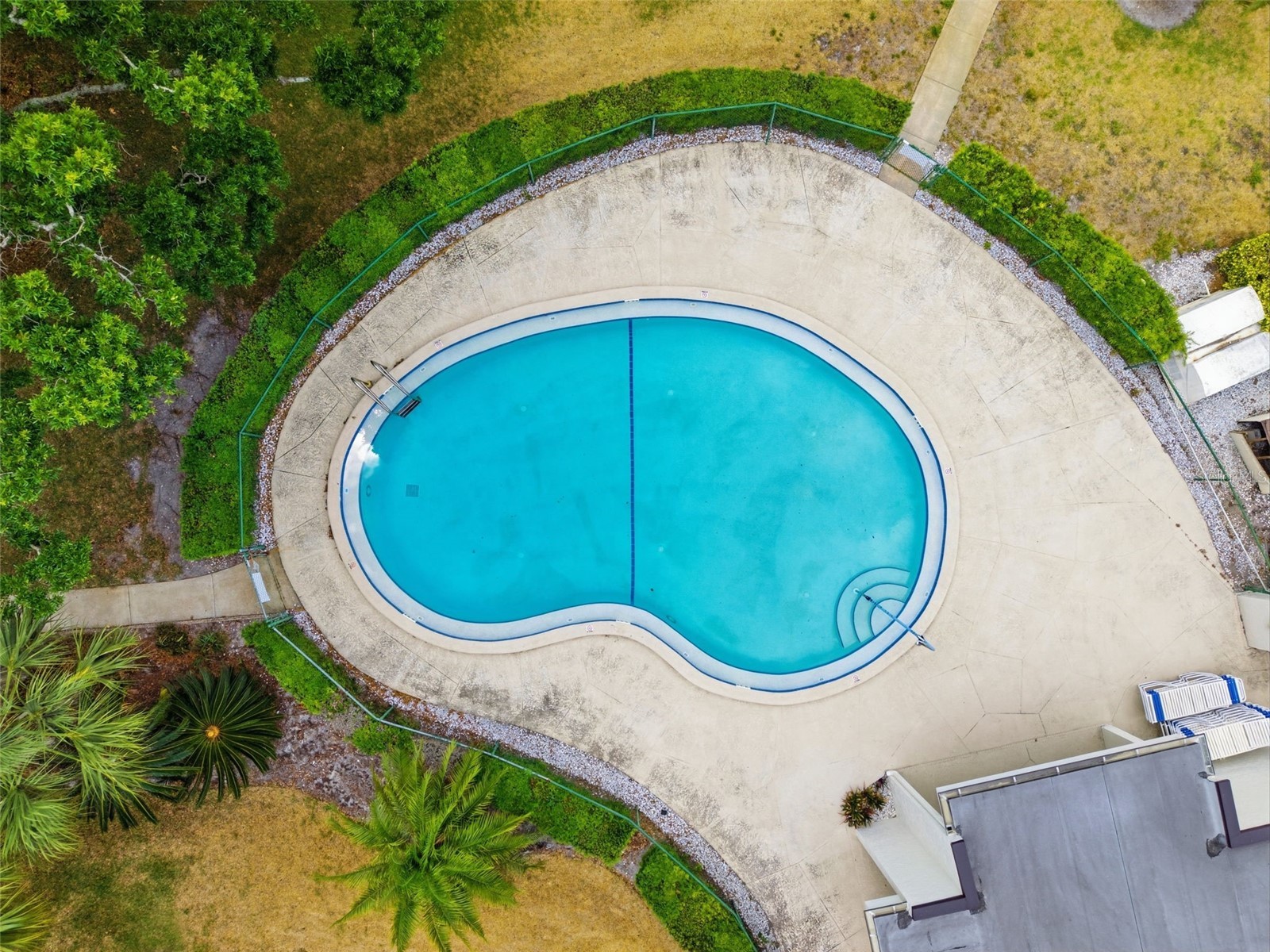 700 Starkey Road #1414 Largo FL 33771 TB8501154 image52