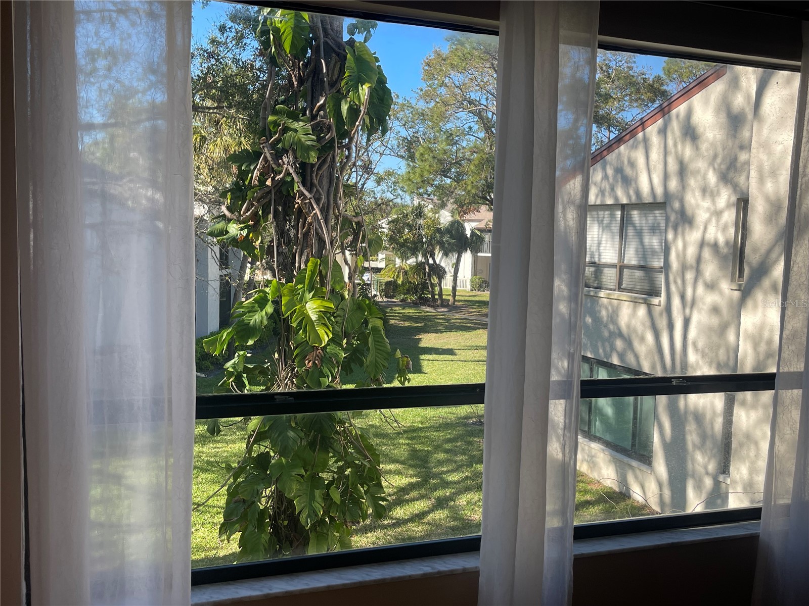 700 Starkey Road #1525 Largo FL 33771 TB8355359 image11