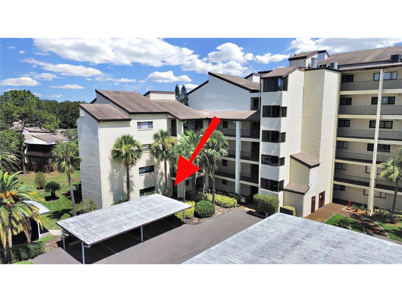 700 Starkey Road #311 Largo FL 33771 TB8399159 image27