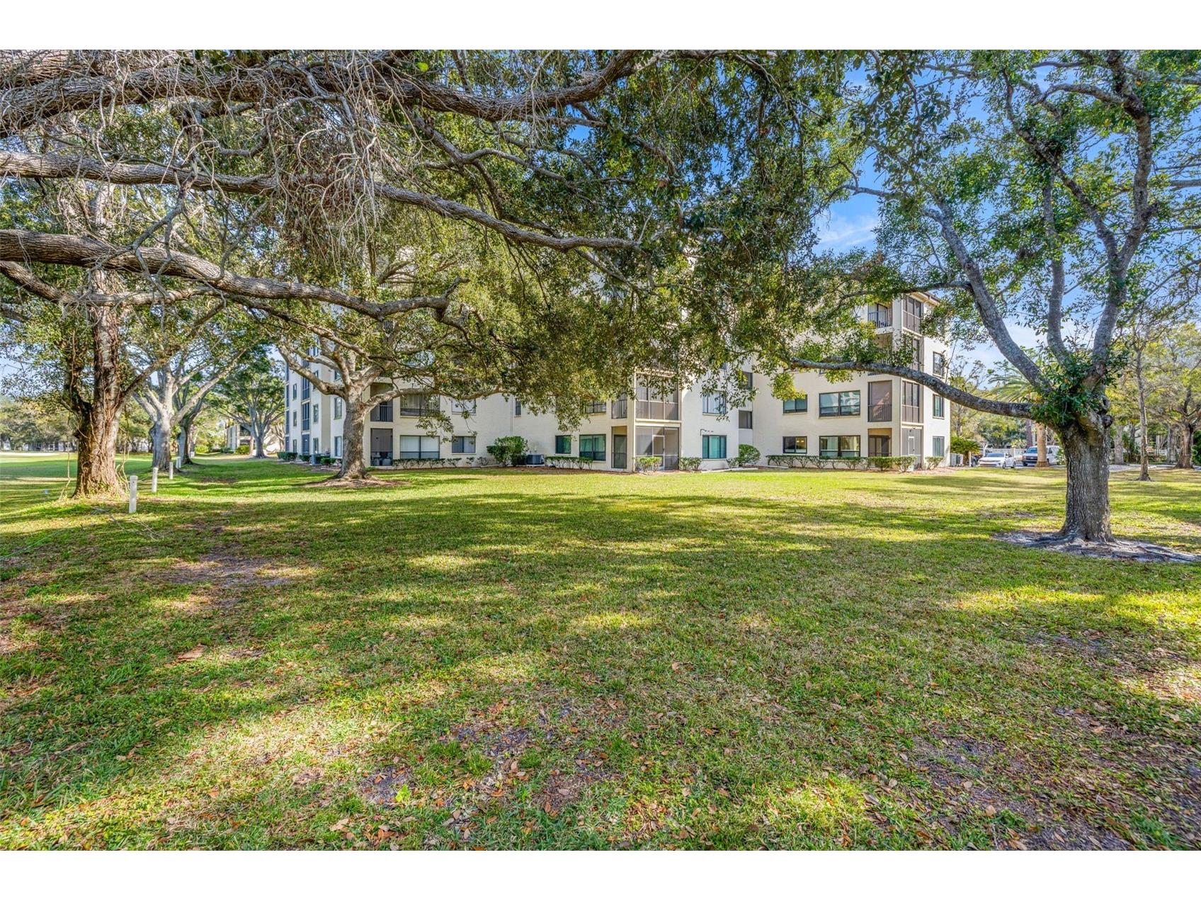 700 Starkey Road #311 Largo FL 33771 TB8465577 image25