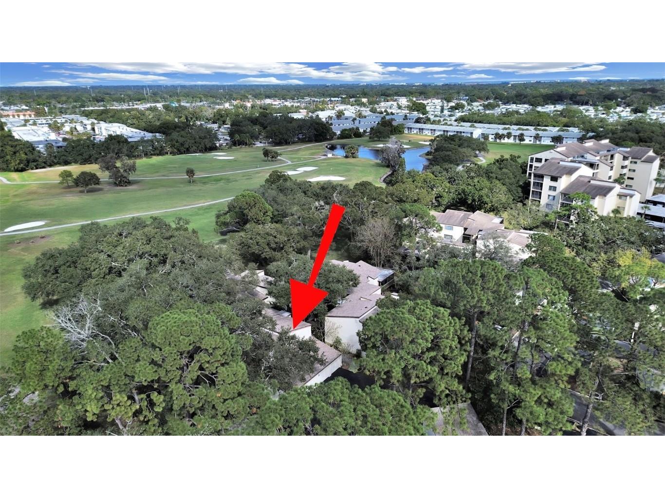 700 Starkey Road #511 Largo FL 33771 TB8447448 image25