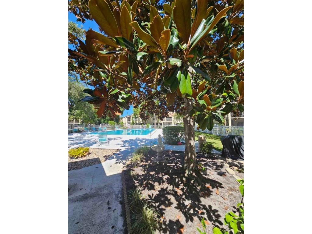 700 Starkey Road #622 Largo FL 33771 W7875825 image24