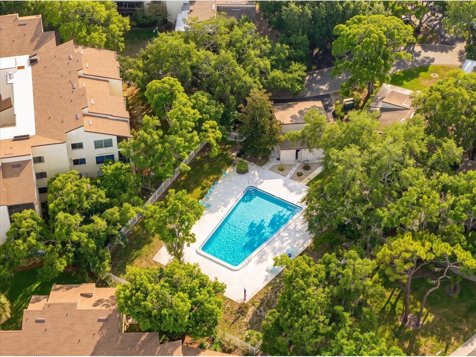 700 Starkey Road #624 Largo FL 33771 TB8528368 image32