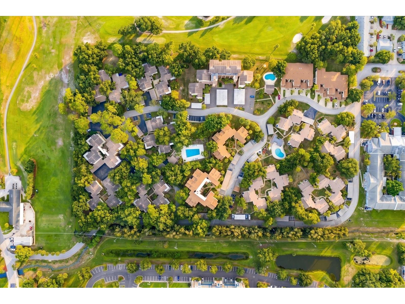 700 Starkey Road #624 Largo FL 33771 TB8528368 image37