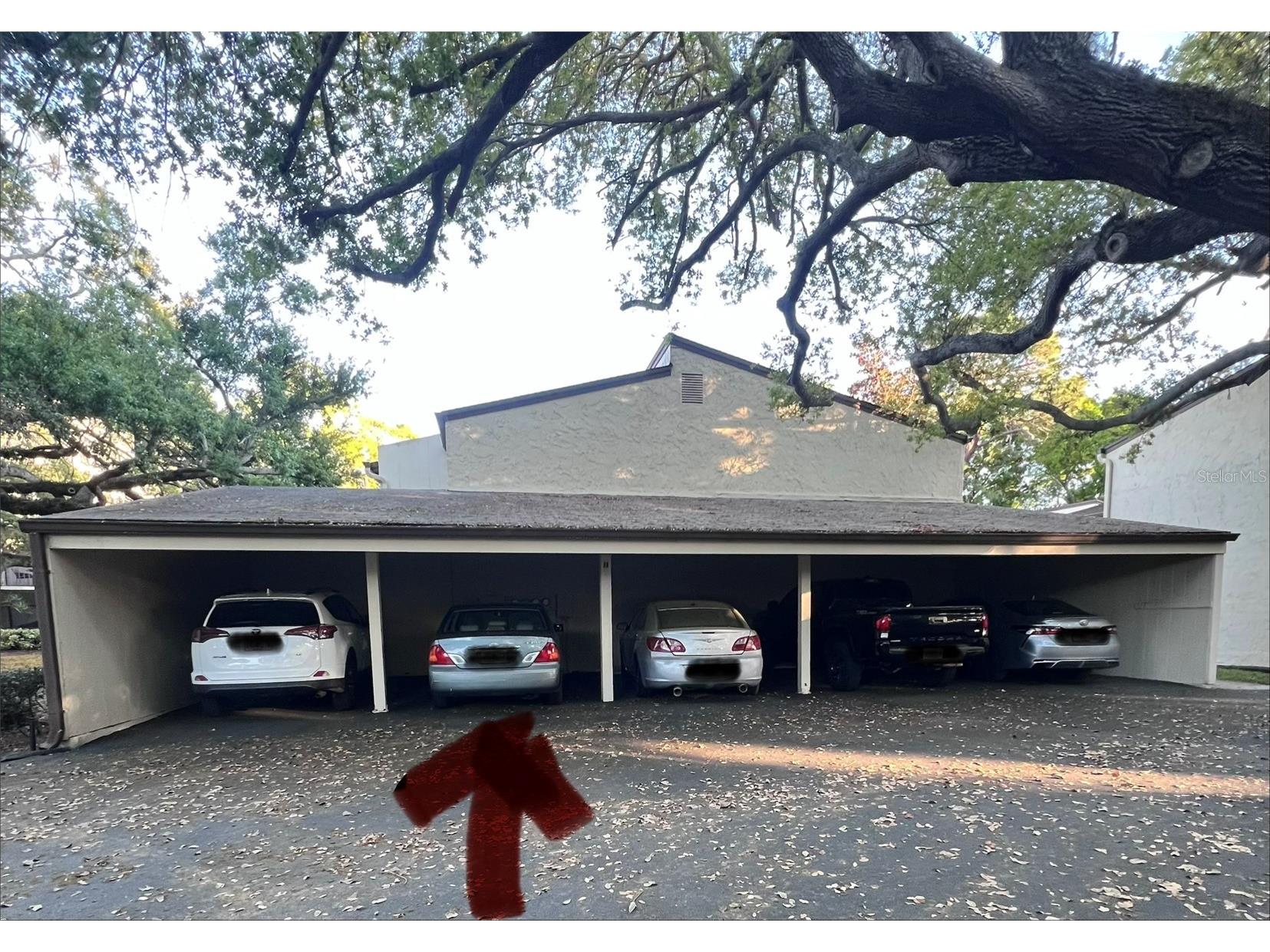 700 Starkey Road #814 Largo FL 33771 TB8490273 image5