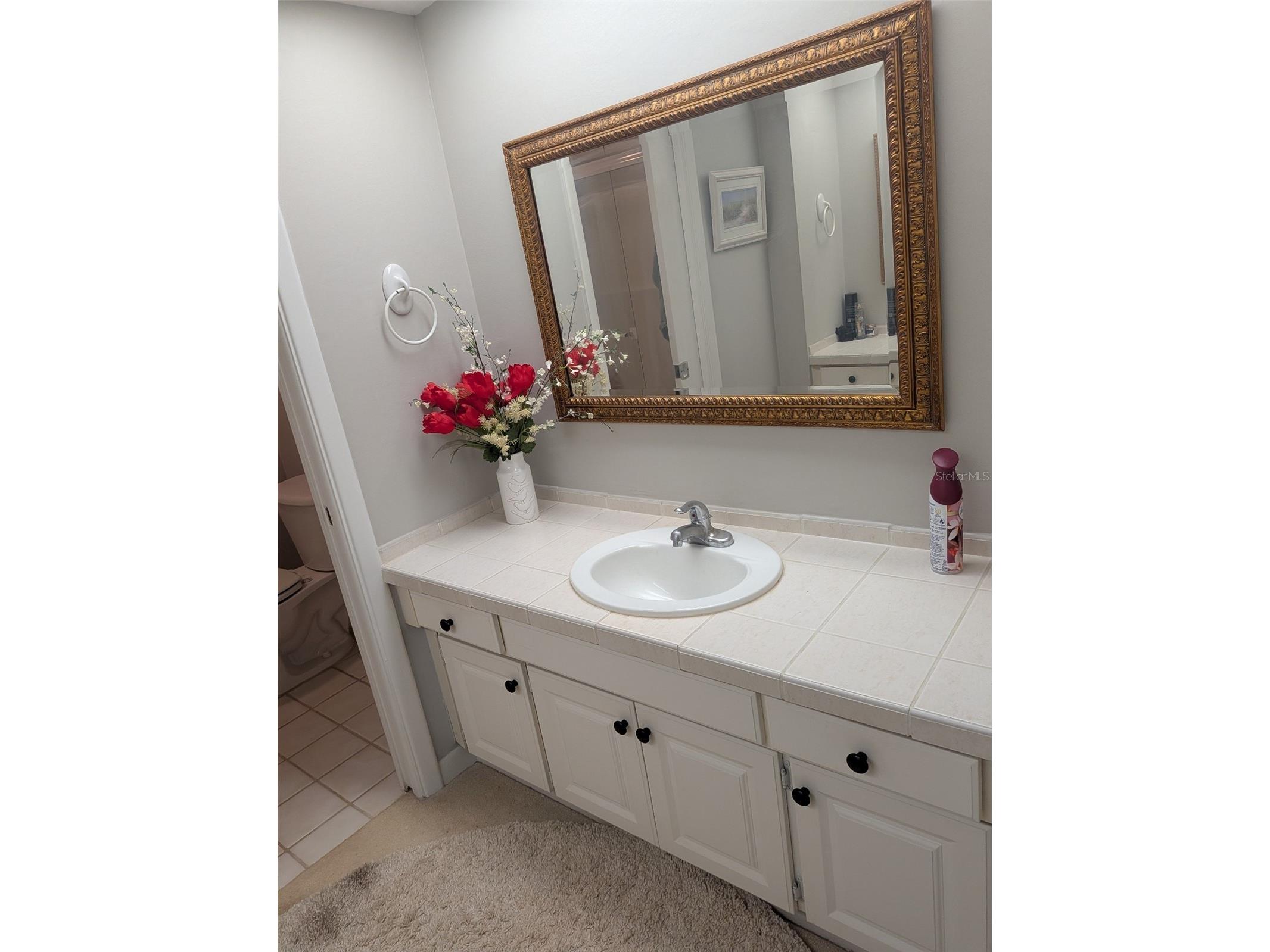 700 Starkey Road #821 Largo FL 33771 TB8483415 image23