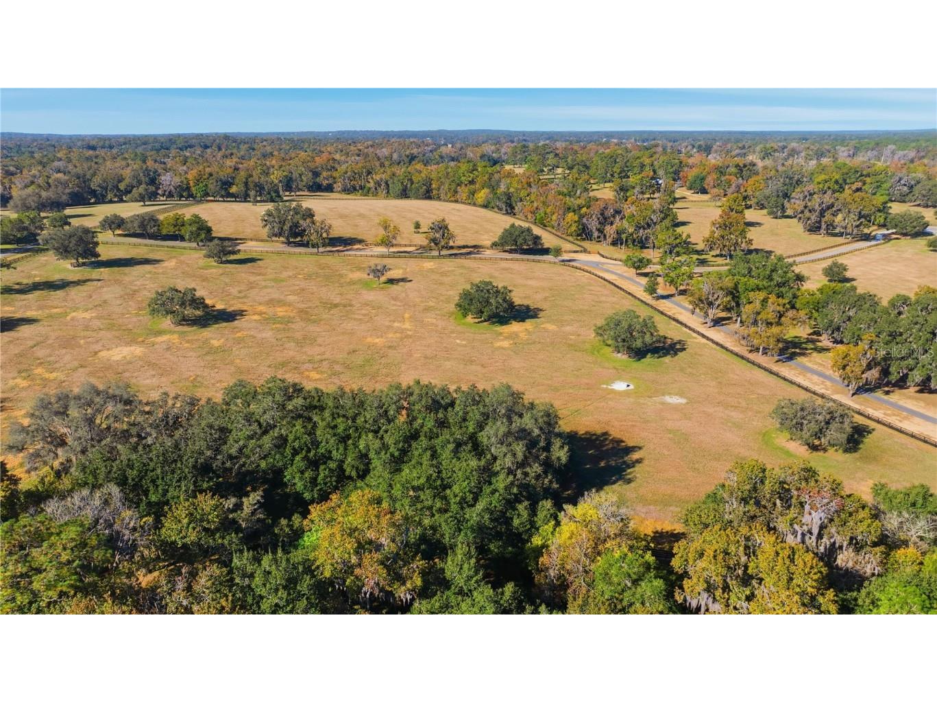 700 SW 89th Terrace Ocala FL 34481 OM713718 image44