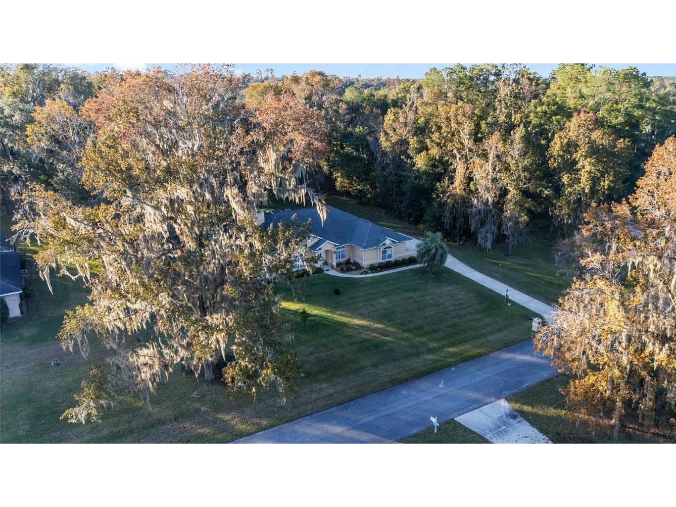 700 SW 89th Terrace Ocala FL 34481 OM713718 image72