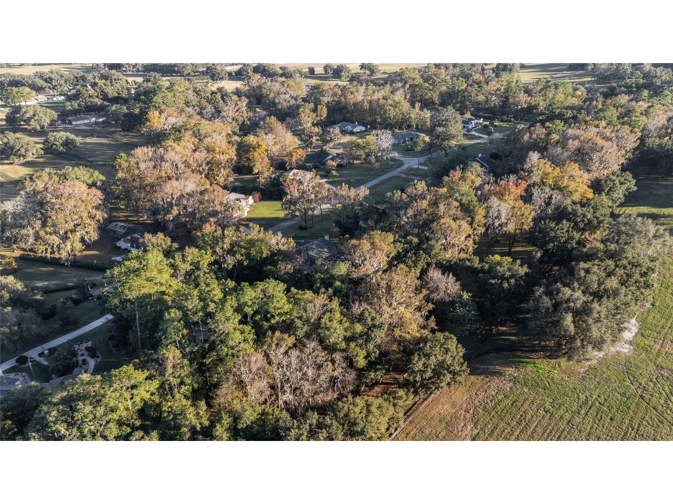 700 SW 89th Terrace Ocala FL 34481 OM713718 image83