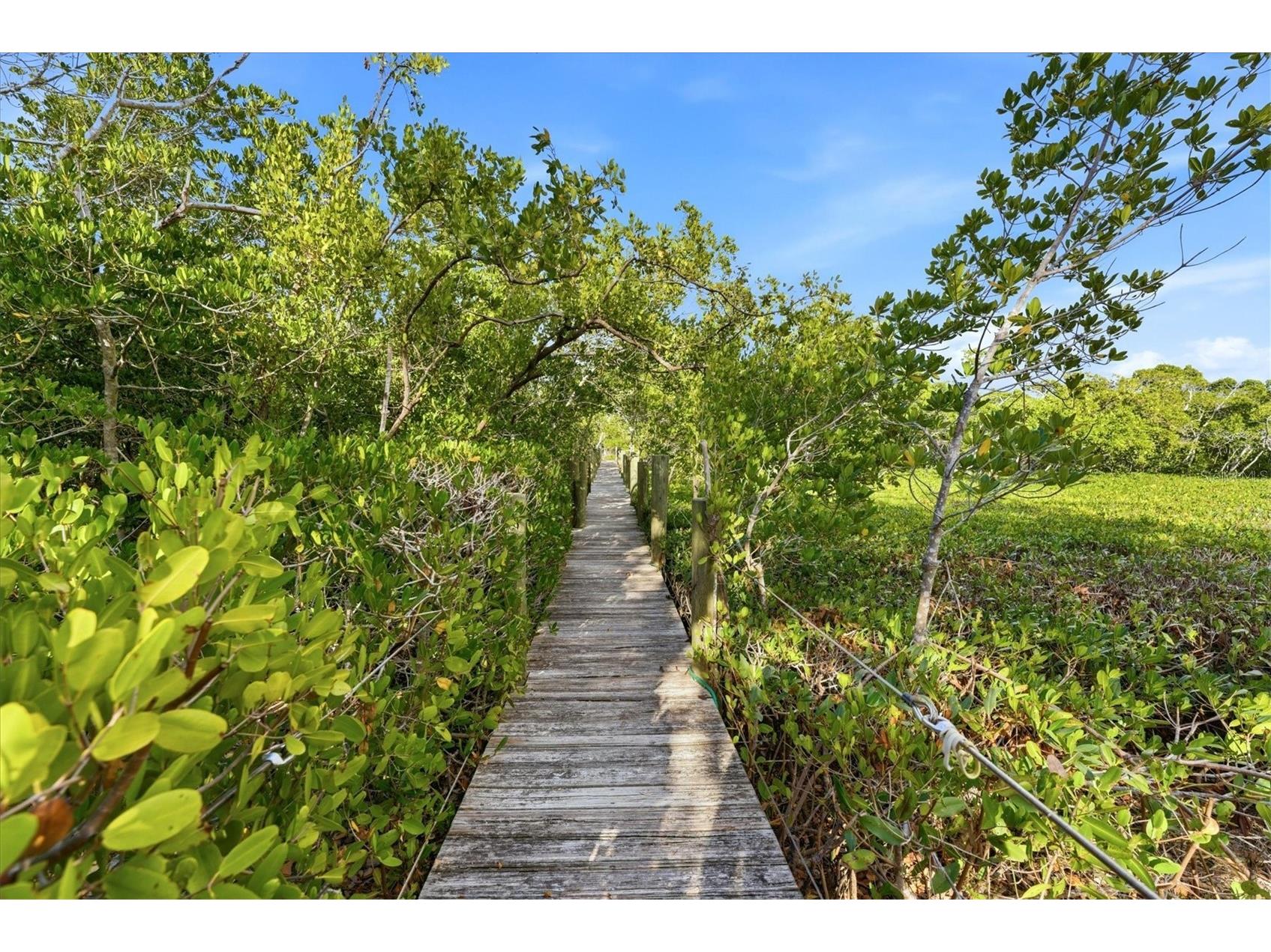 700 Tropical Circle Sarasota FL 34242 - ED C. WRIGHT NATURE PRESERVE A4684757 image29