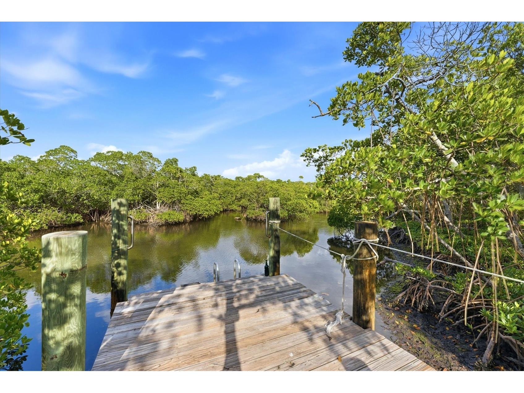 700 Tropical Circle Sarasota FL 34242 - ED C. WRIGHT NATURE PRESERVE A4684757 image30