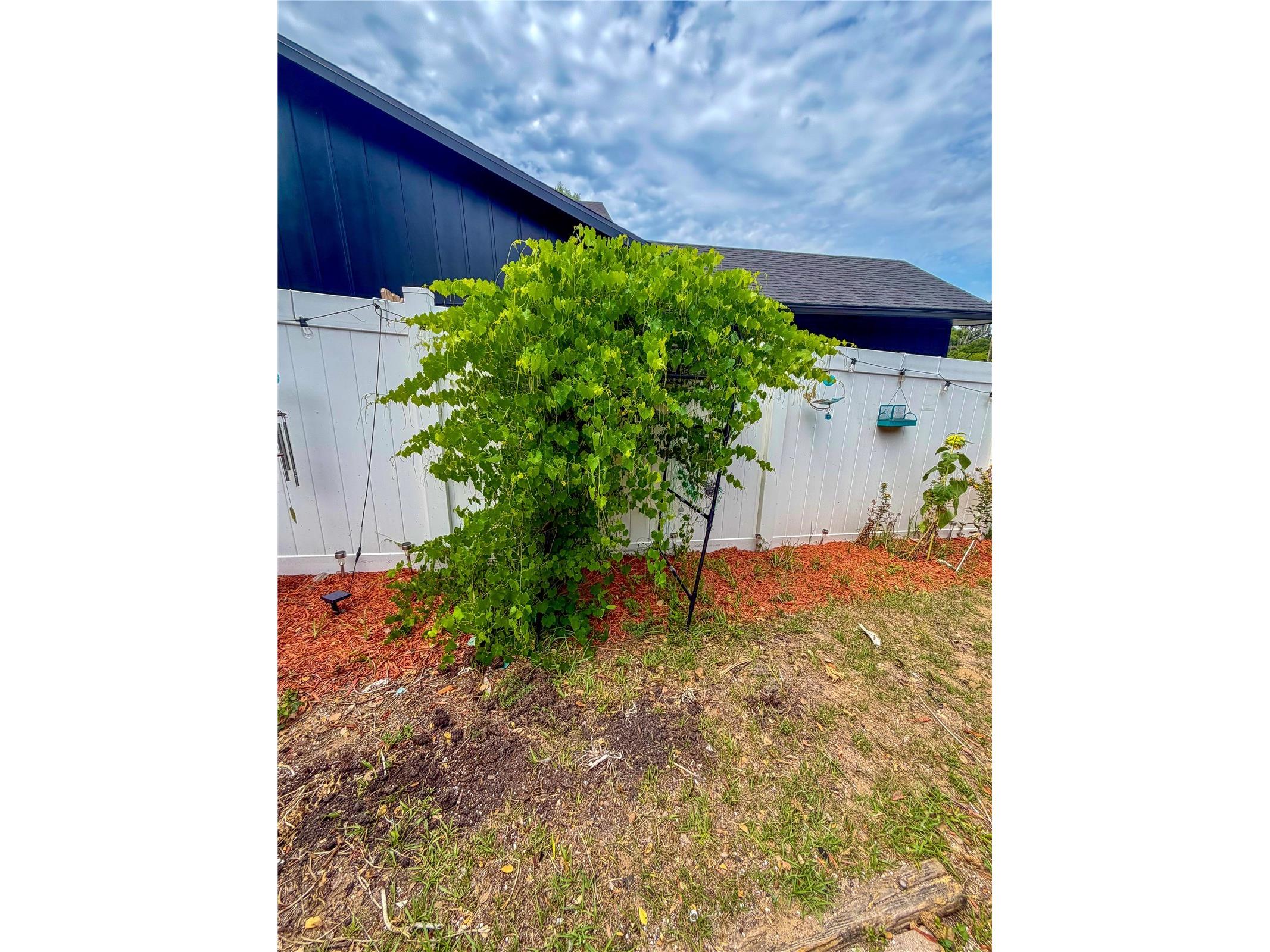700 W Dampier Street Inverness FL 34450 W7885681 image17