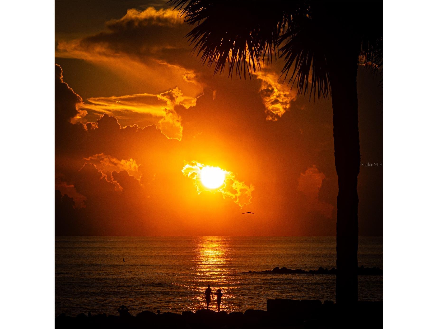 7000 Beach Plaza #202 Saint Pete Beach FL 33706 TB8507010 image61