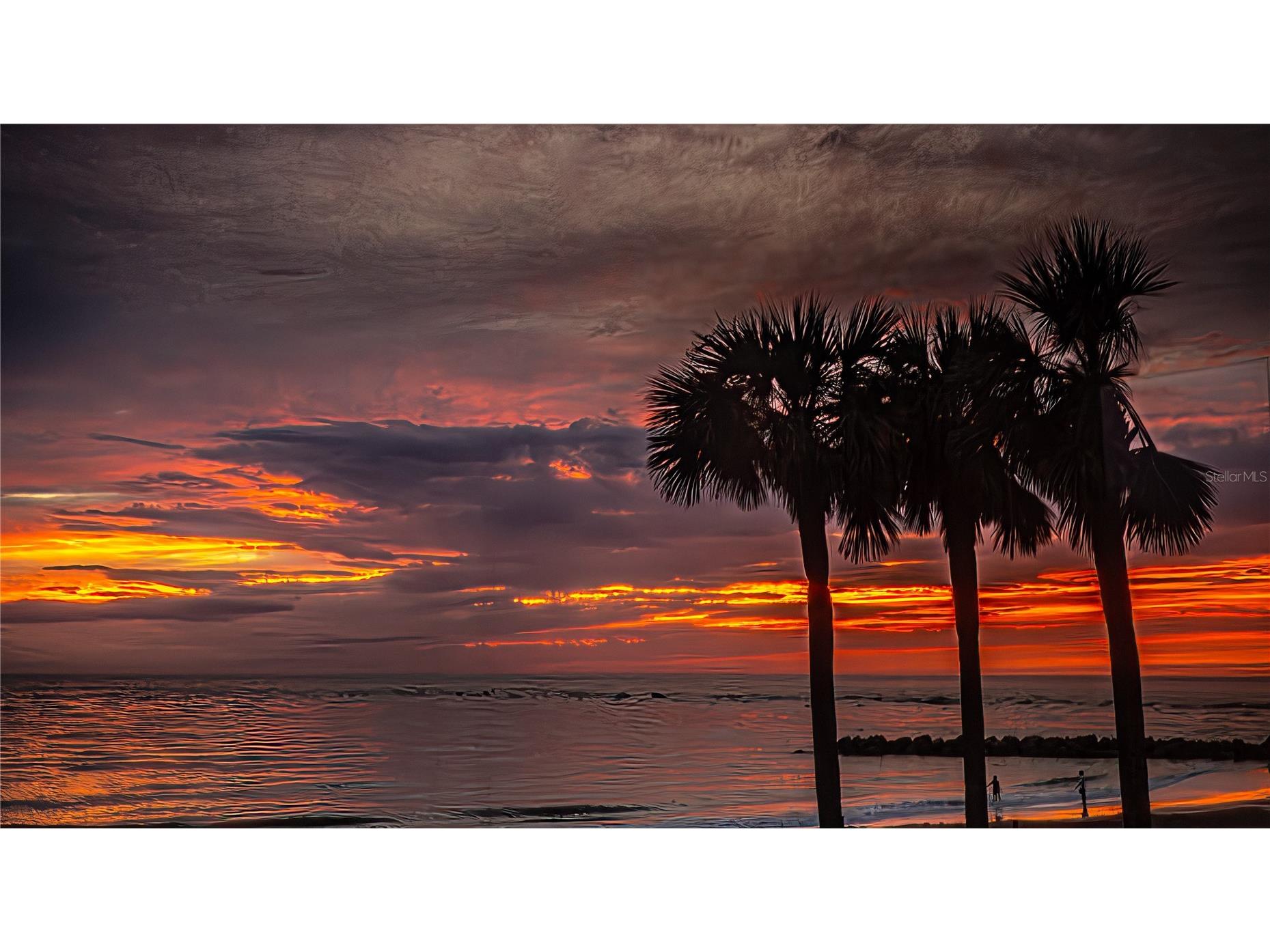 7000 Beach Plaza #202 Saint Pete Beach FL 33706 TB8507010 image62