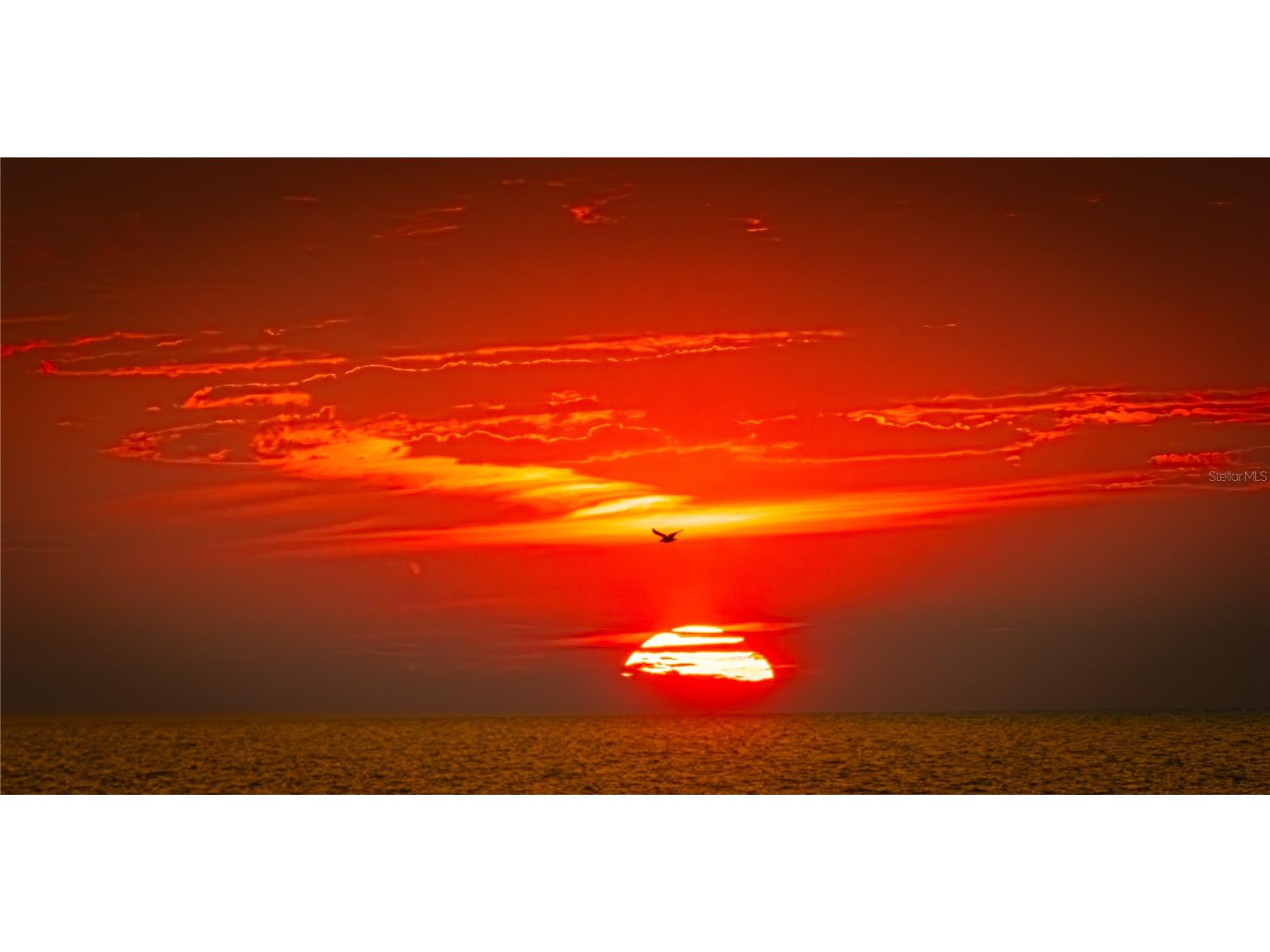 7000 Beach Plaza #202 Saint Pete Beach FL 33706 TB8507010 image65