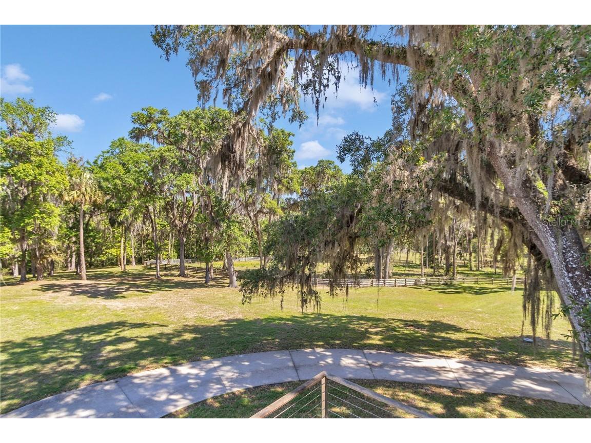 7000 NW Hwy 320 Micanopy FL 32667 OM697211 image7