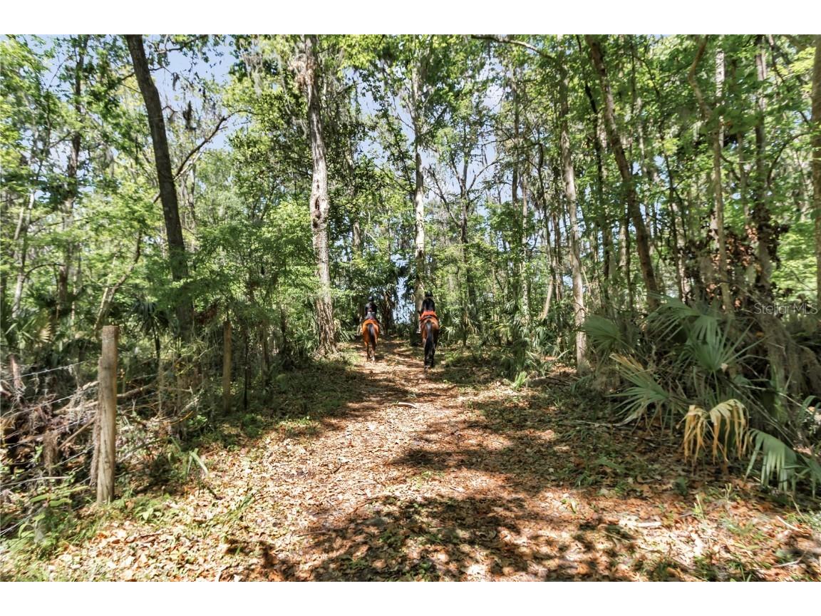 7000 NW Hwy 320 Micanopy FL 32667 OM697211 image91