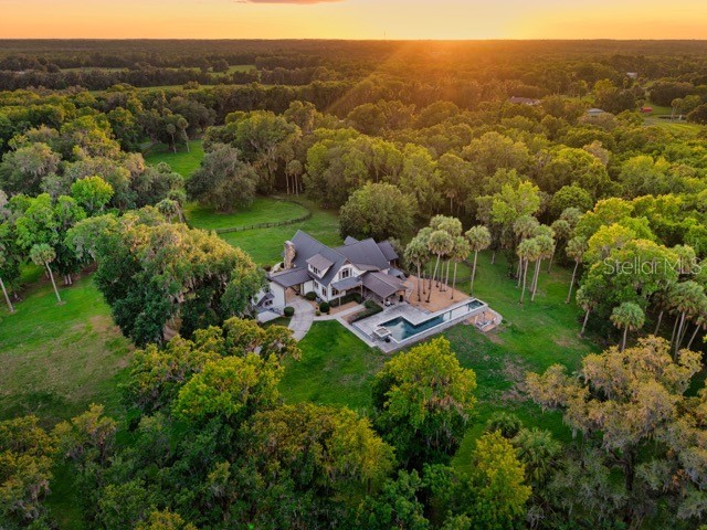 7000 NW Hwy 320 Micanopy FL 32667 OM725518 image13