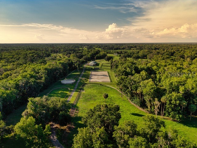 7000 NW Hwy 320 Micanopy FL 32667 OM725518 image4