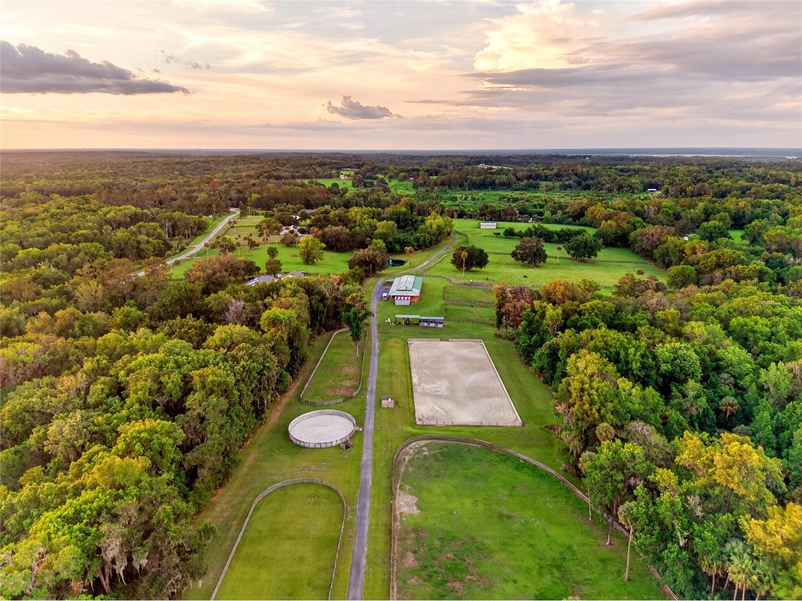 7000 NW Hwy 320 Micanopy FL 32667 OM725518 image5