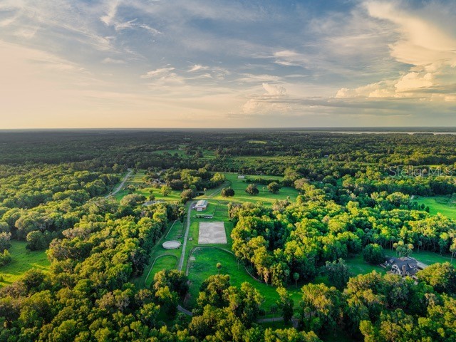 7000 NW Hwy 320 Micanopy FL 32667 OM725518 image8