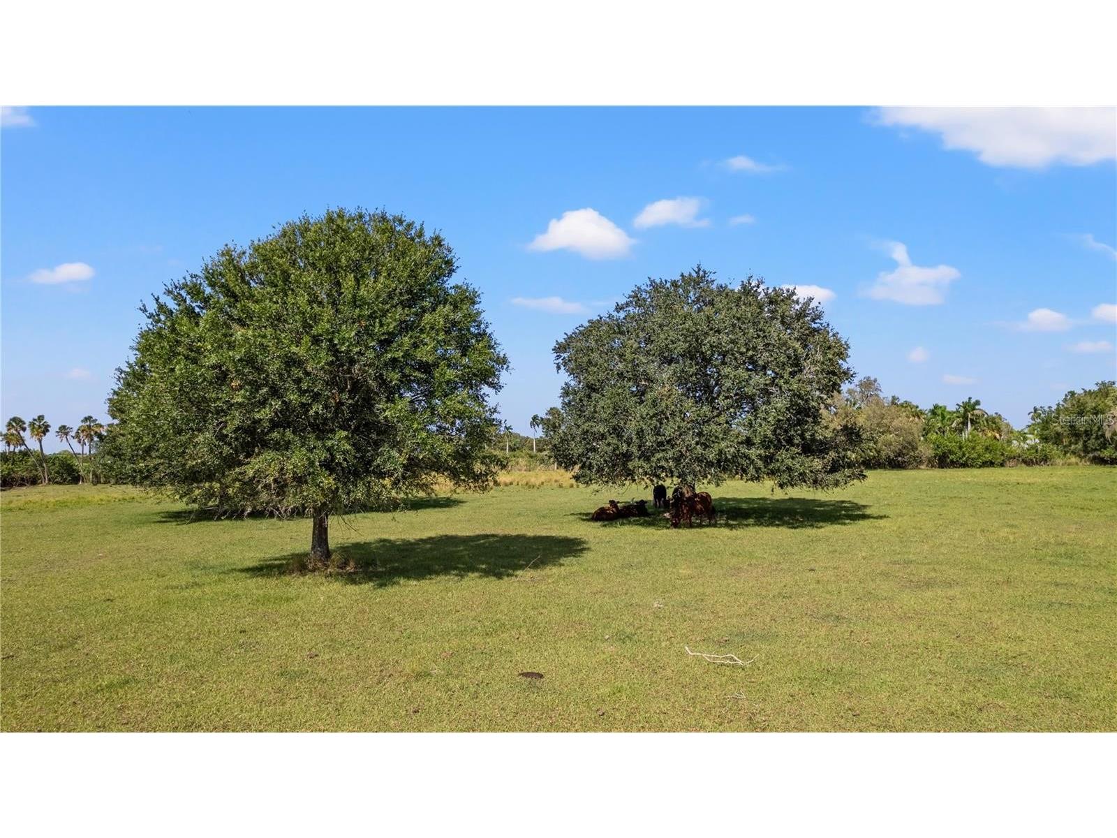 7000 Us-19 Terra Ceia FL 34250 A4686617 image17