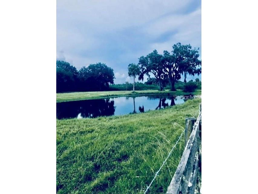 7000 Us-19 Terra Ceia FL 34250 A4686617 image2