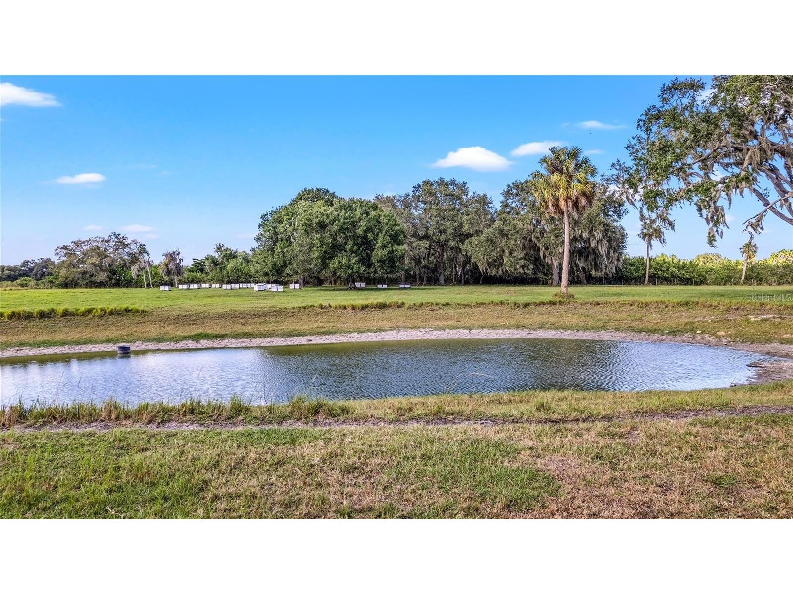 7000 Us-19 Terra Ceia FL 34250 A4686617 image21