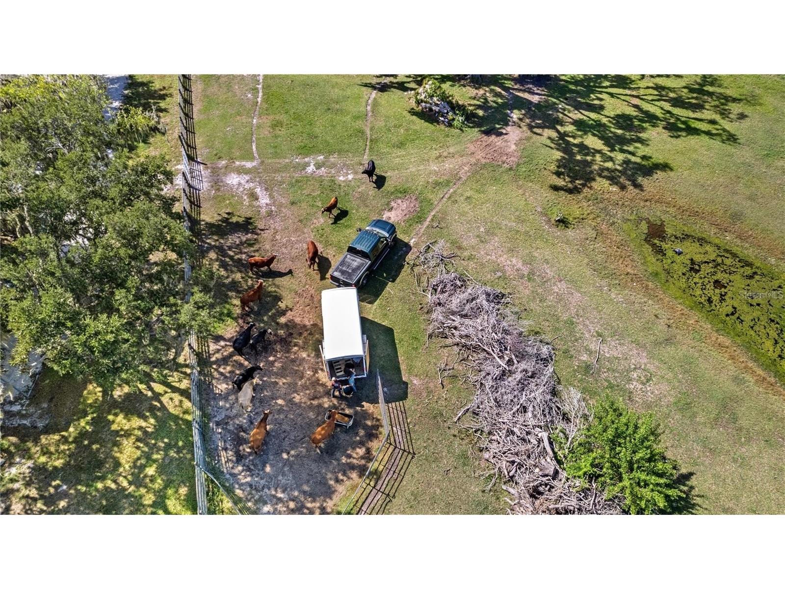 7000 Us-19 Terra Ceia FL 34250 A4686617 image24