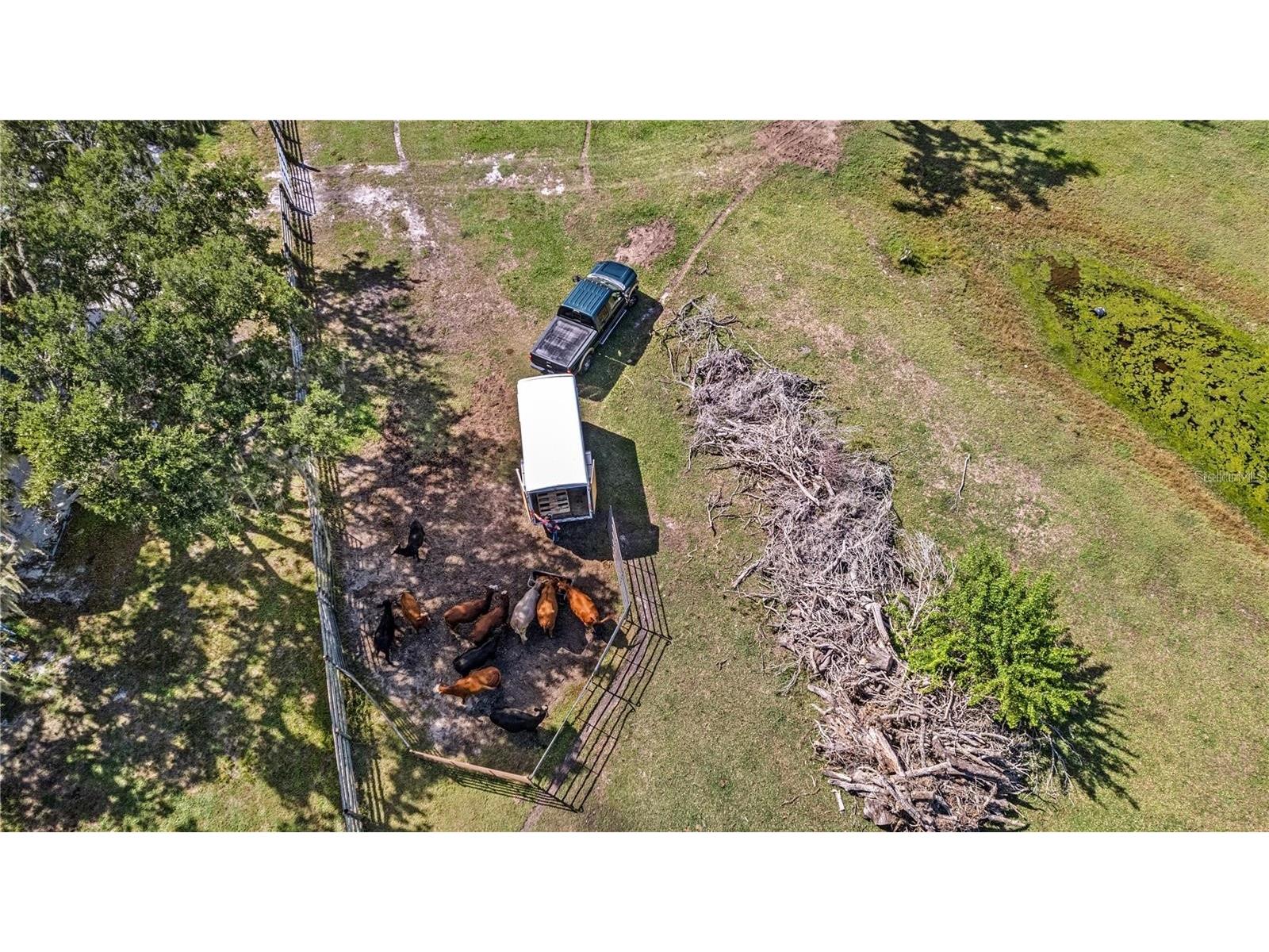 7000 Us-19 Terra Ceia FL 34250 A4686617 image25