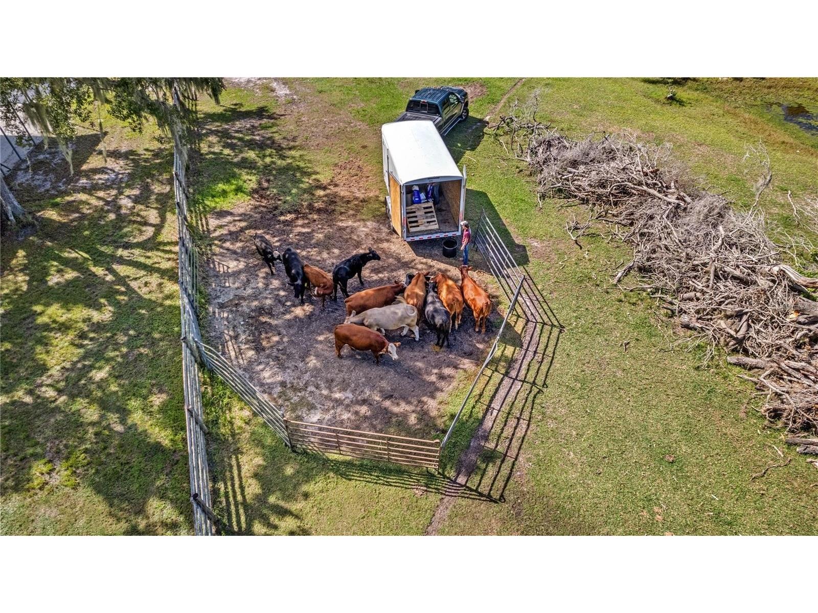 7000 Us-19 Terra Ceia FL 34250 A4686617 image26