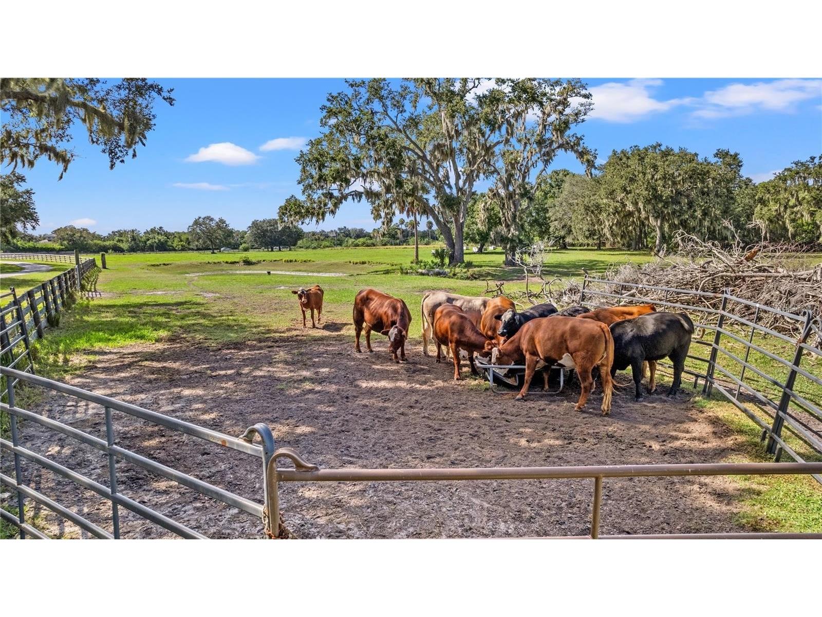 7000 Us-19 Terra Ceia FL 34250 A4686617 image27