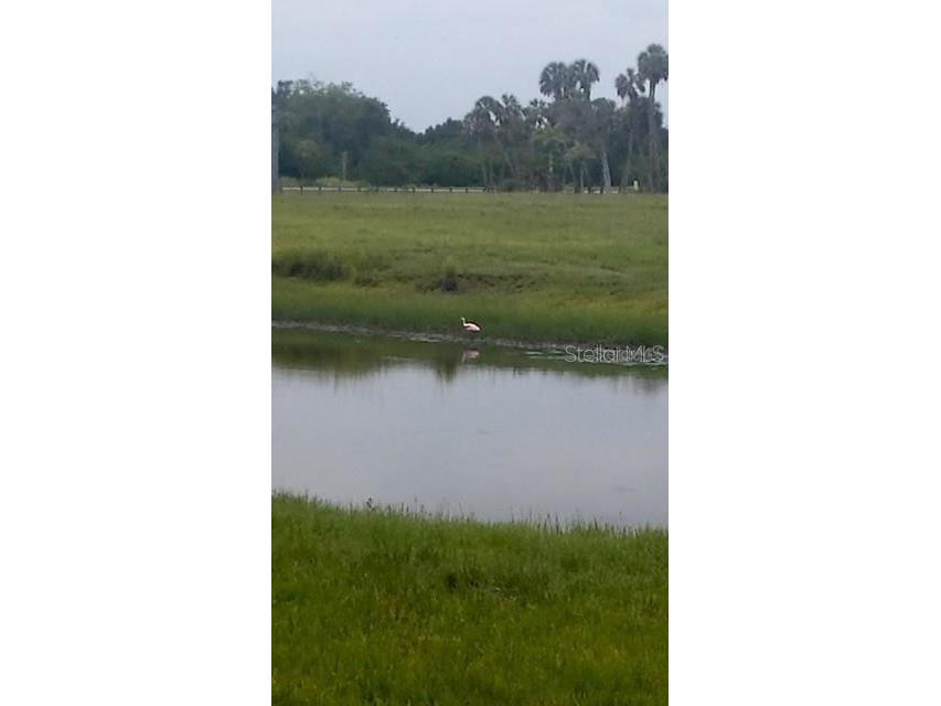 7000 Us-19 Terra Ceia FL 34250 A4686617 image3