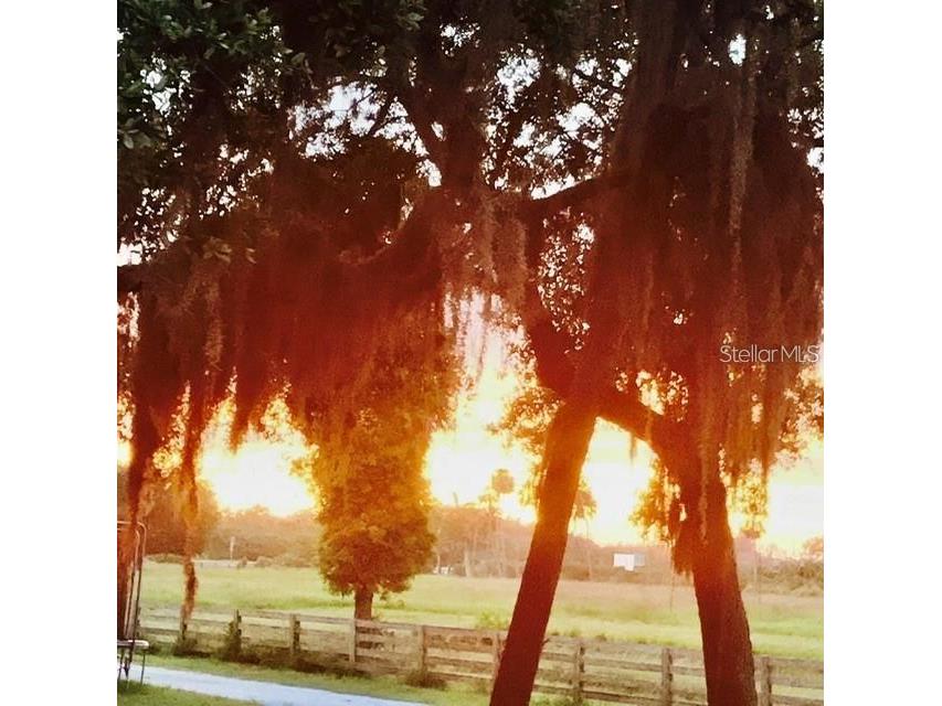 7000 Us-19 Terra Ceia FL 34250 A4686617 image4