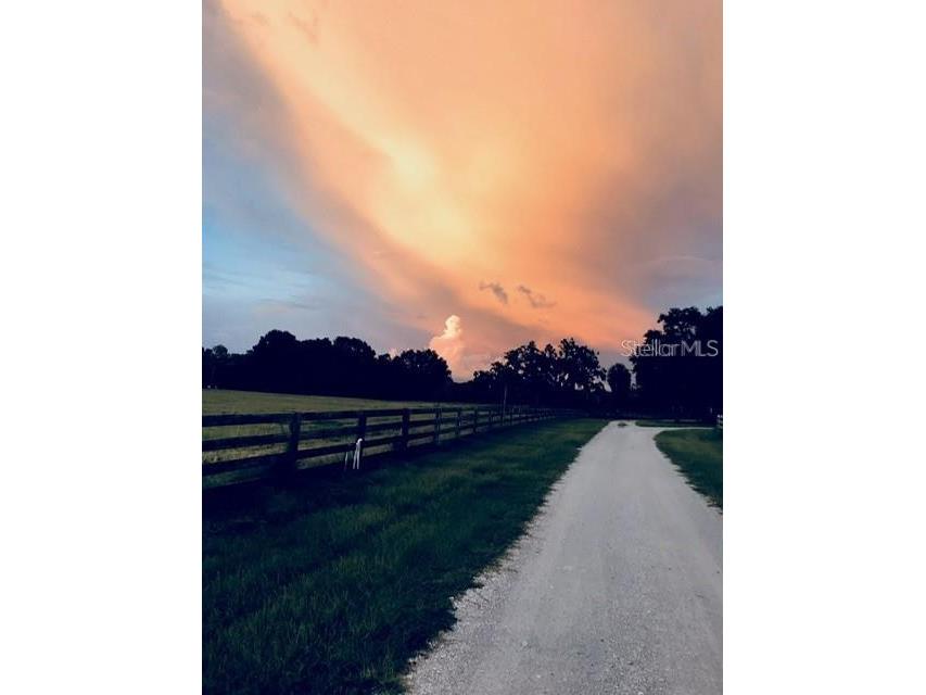 7000 Us-19 Terra Ceia FL 34250 A4686617 image5