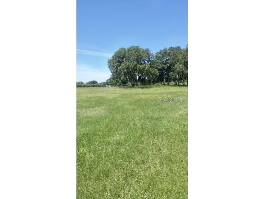 7000 Us-19 Terra Ceia FL 34250 A4686617 image6