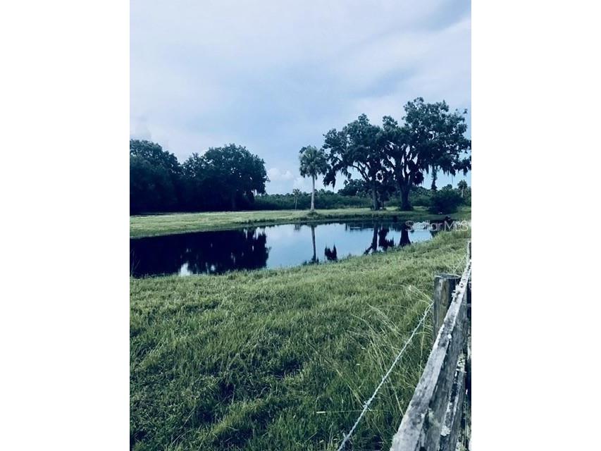 7000 Us-19 Terra Ceia FL 34250 A4686617 image8