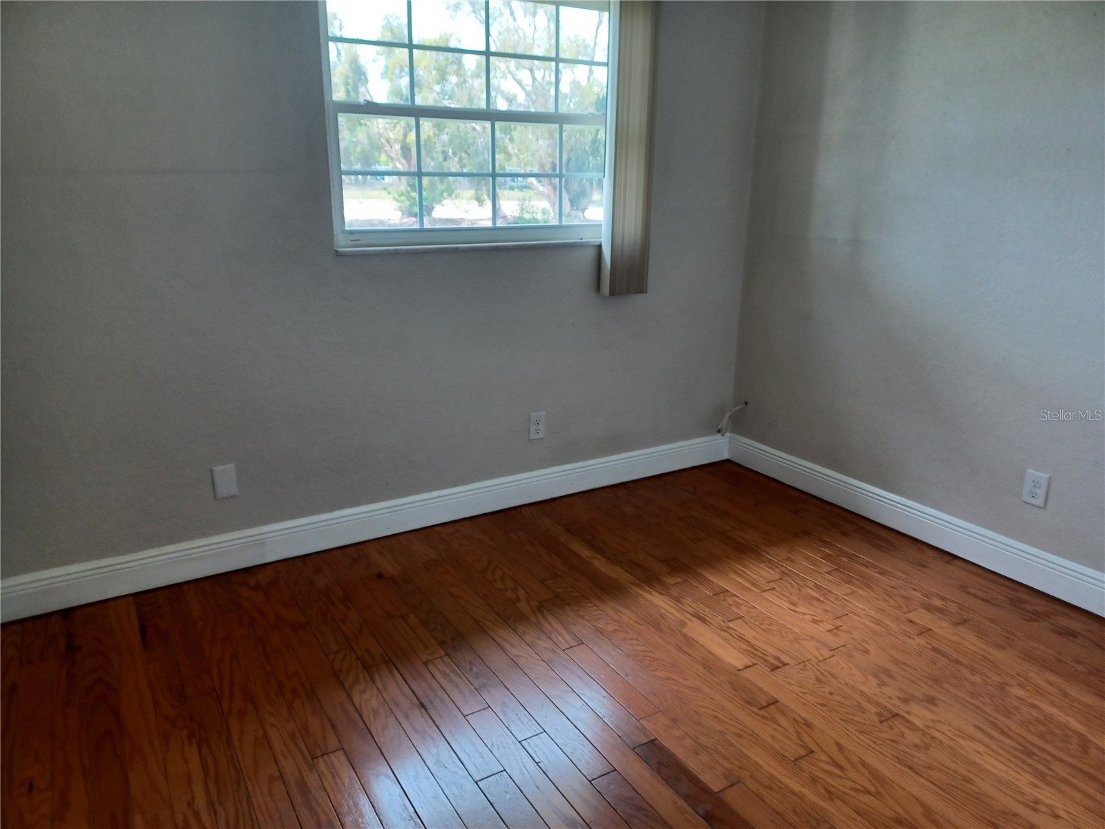 7001 18th Street N Saint Petersburg FL 33702 TB8494052 image35
