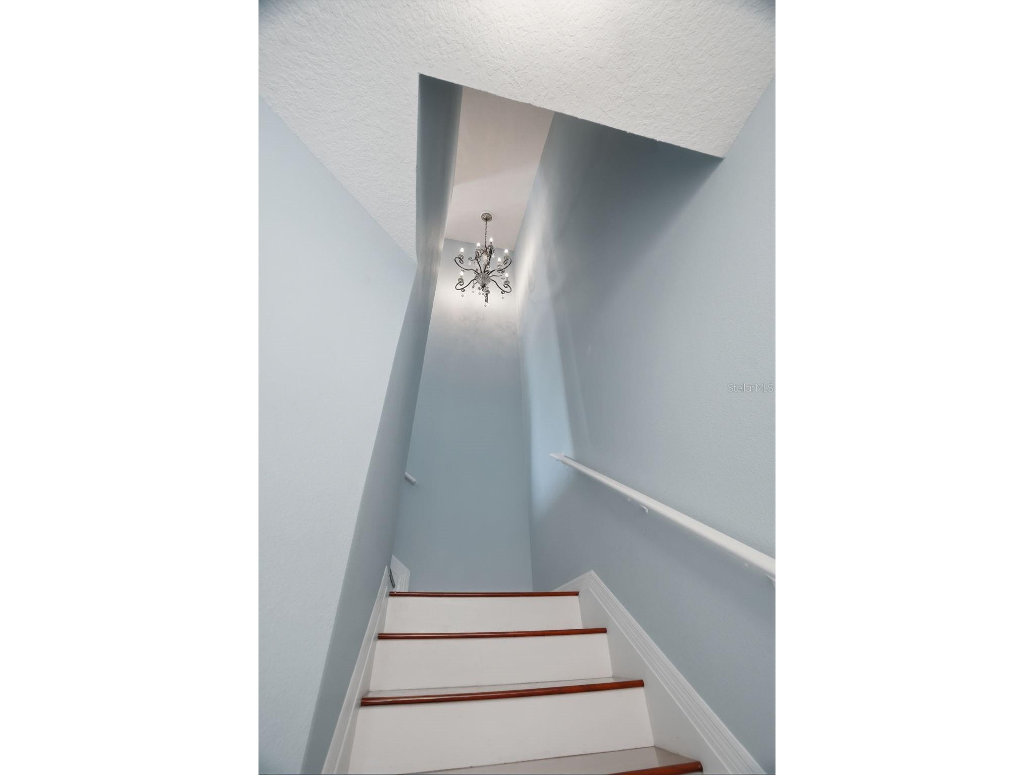7001 Interbay Boulevard #151 Tampa FL 33616 TB8517255 image7