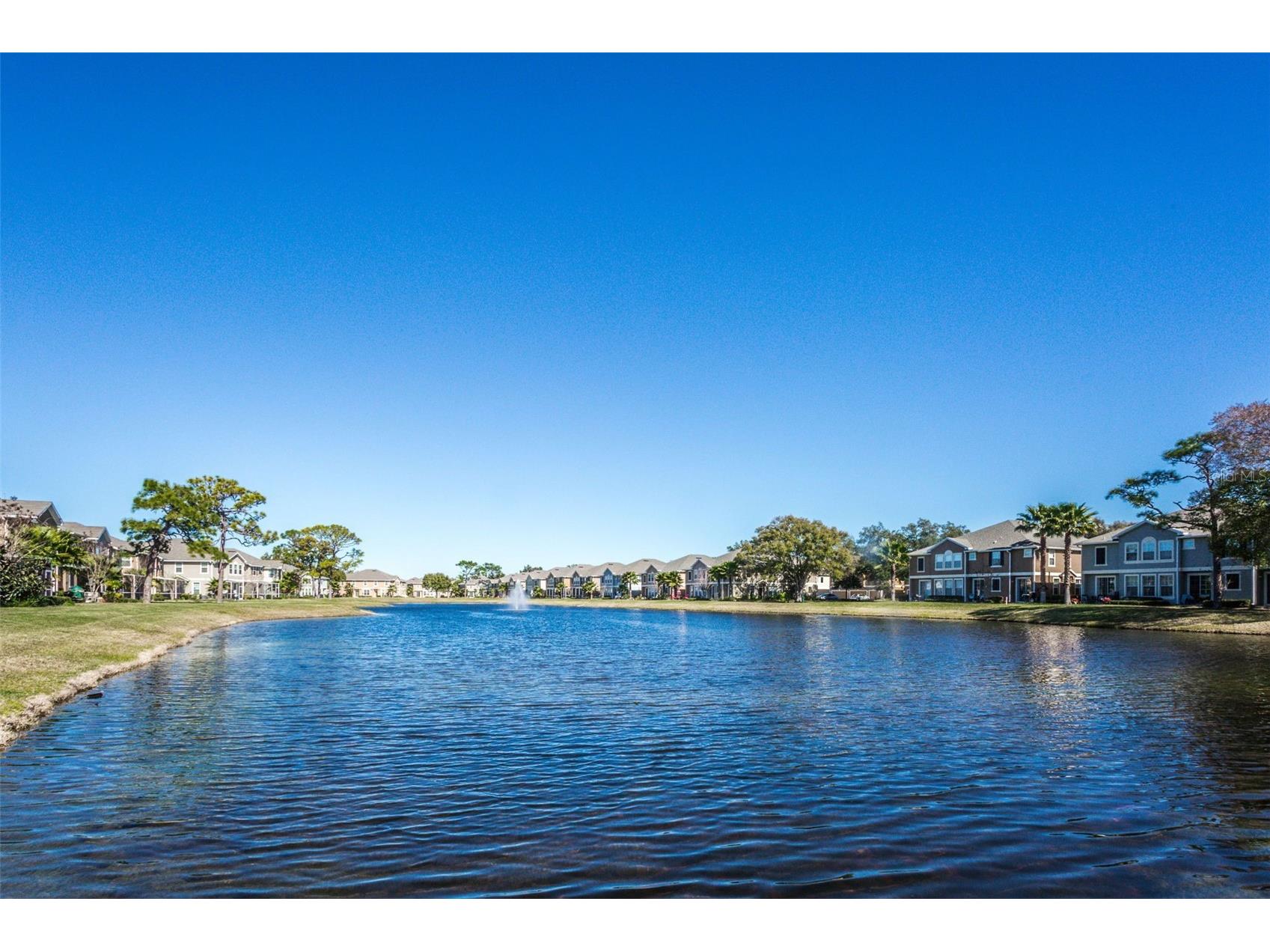 7001 Interbay Boulevard #162 Tampa FL 33616 TB8516877 image38