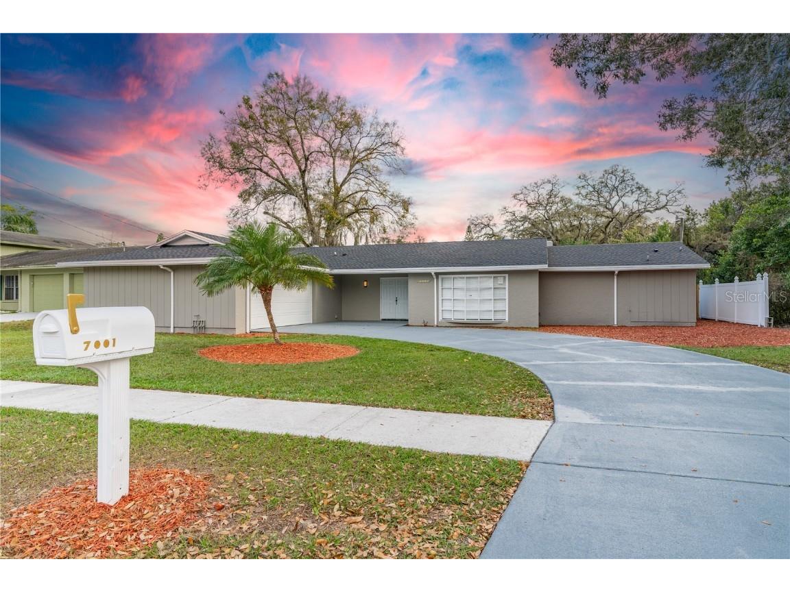 7001 N Whittier Street Tampa FL 33617 T3504919 image1