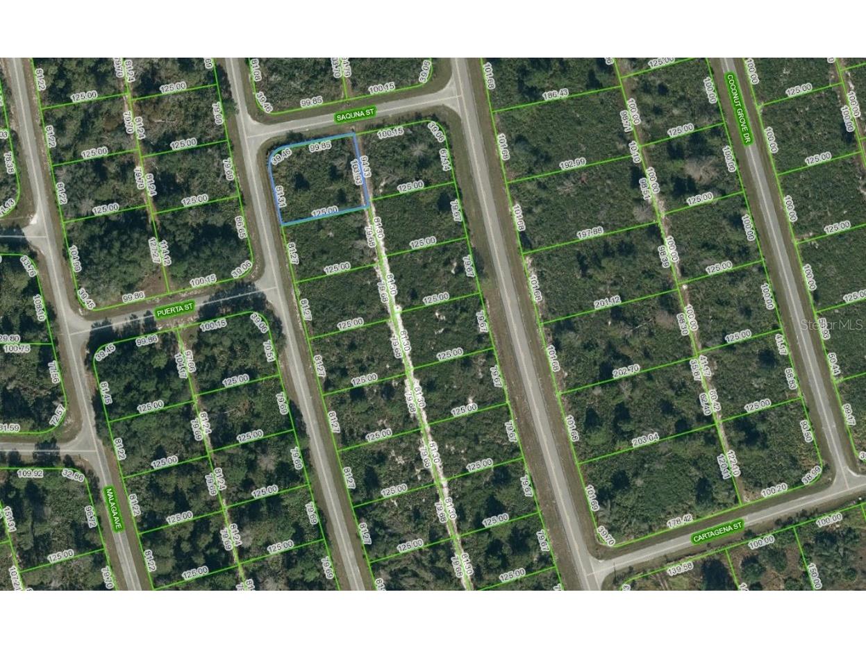 7001 Saquna Street Sebring FL 33872 C7475469 image1