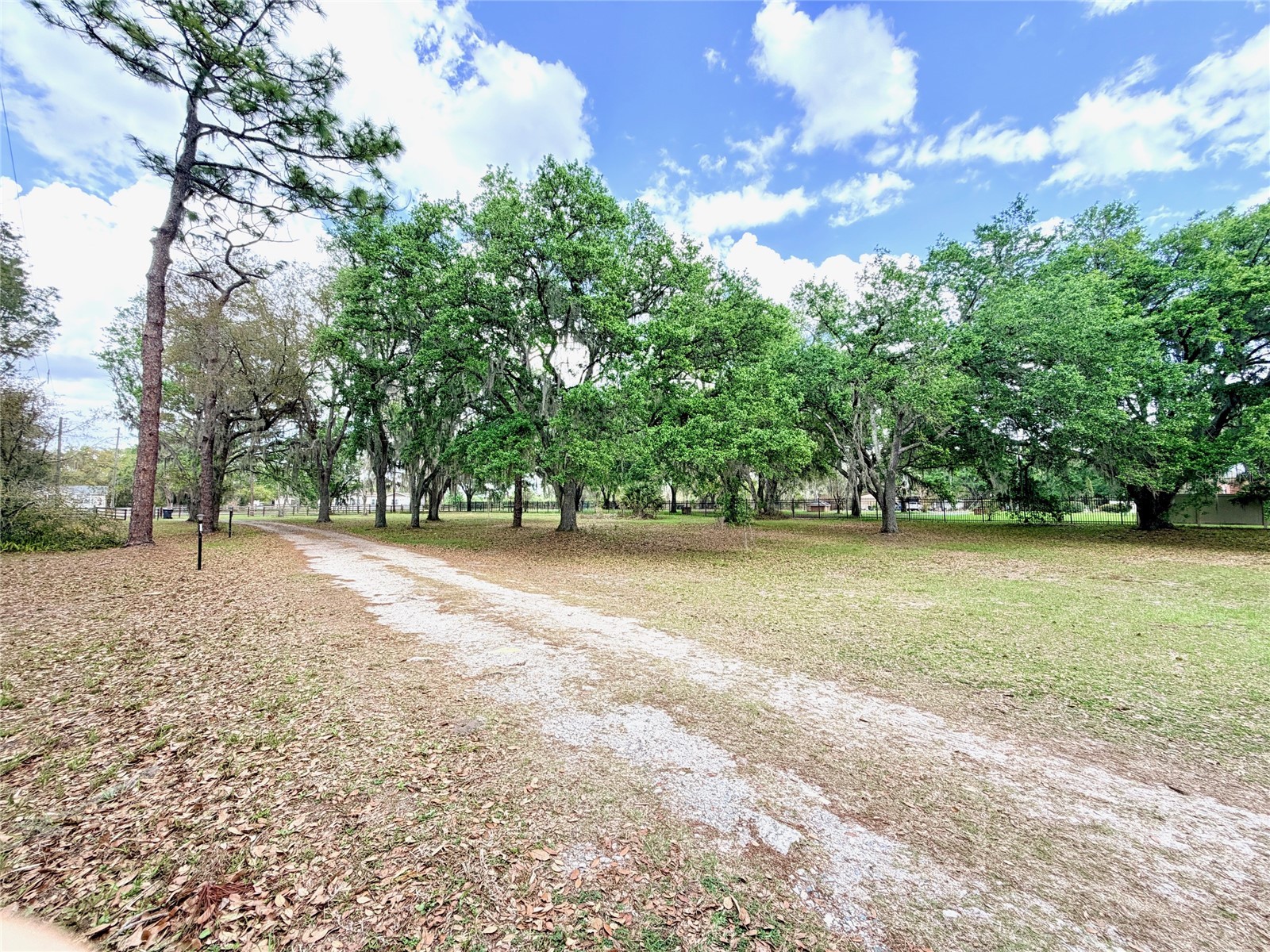 7001 W Dormany Road Plant City FL 33565 TB8484334 image2
