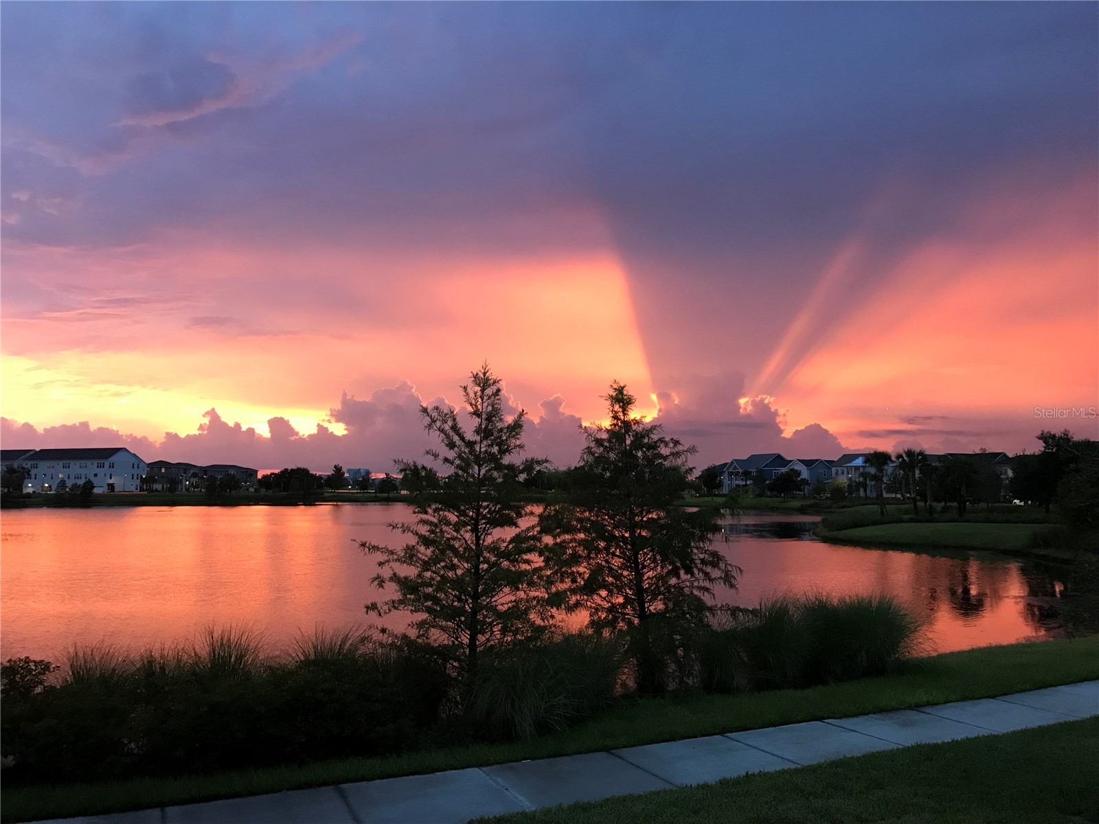 7002 Arnoldson Street Orlando FL 32827 O6403577 image82