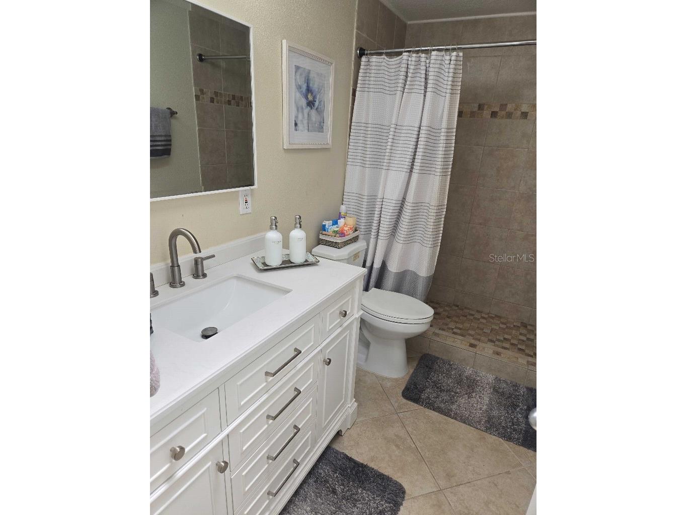 7002 Danewood Court Tampa FL 33615 TB8511921 image26