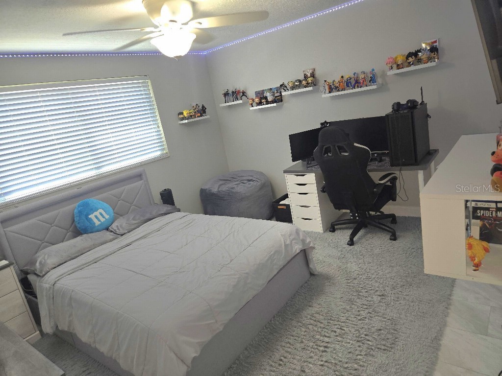 7002 Danewood Court Tampa FL 33615 TB8511921 image9