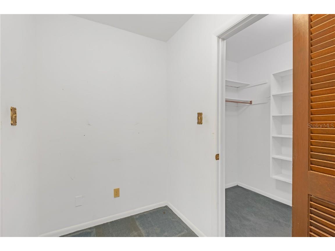 7002 Doreen Street Tampa FL 33617 TB8392216 image28