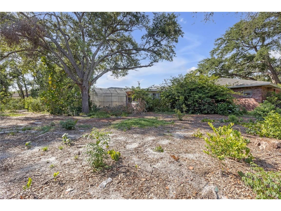 7002 Doreen Street Tampa FL 33617 TB8392216 image42